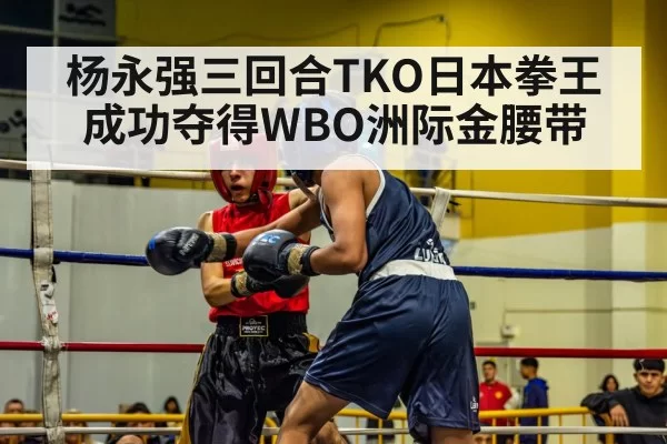杨永强三回合TKO日本拳王成功夺得WBO洲际金腰带